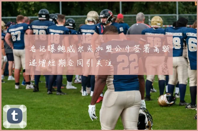名记曝鲍威尔或加盟公牛签署高额递增短期合同引关注