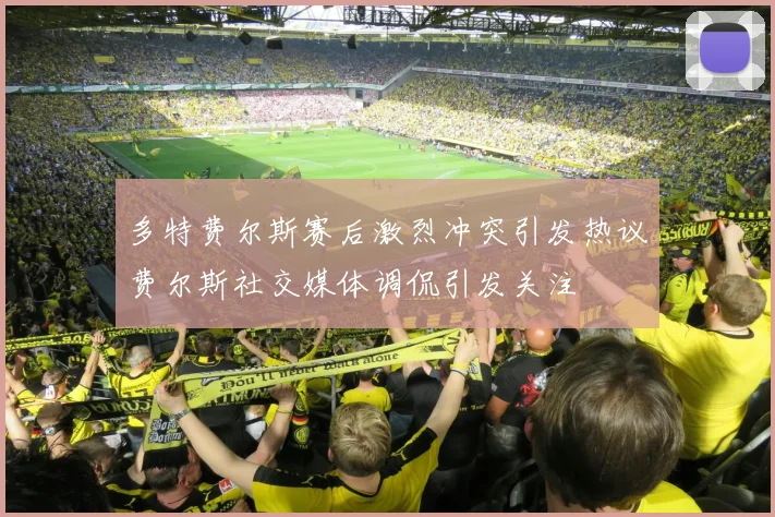 多特费尔斯赛后激烈冲突引发热议费尔斯社交媒体调侃引发关注